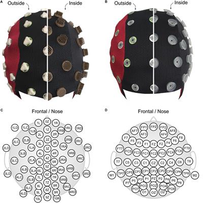 Dry EEG in Sports Sciences: A Fast and Reliable Tool to Assess Individual Alpha Peak Frequency Changes Induced by Physical Effort